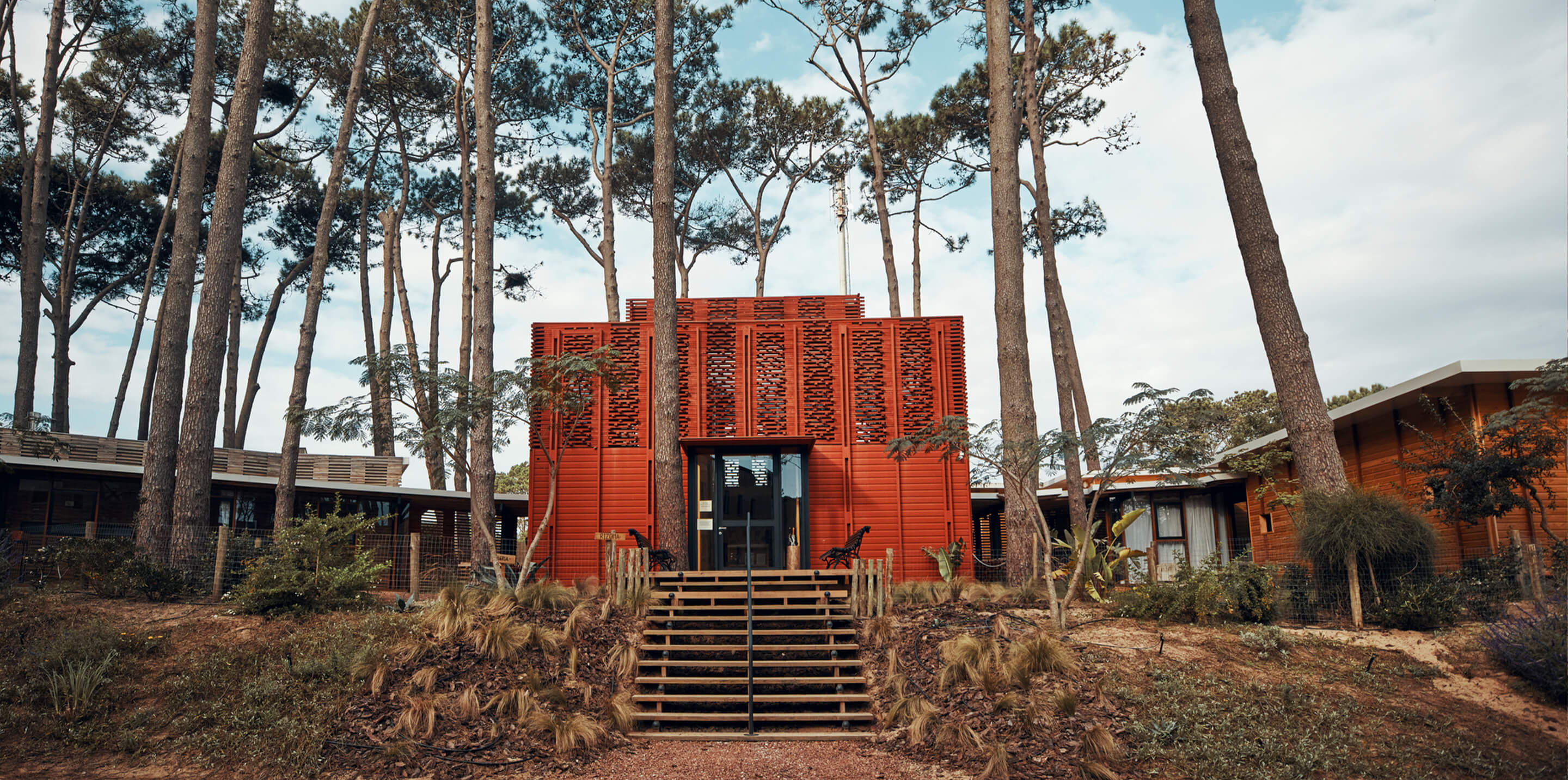 Rizoma: El Refugio de Libros, Café y Arte que Florece en el Bosque de José Ignacio