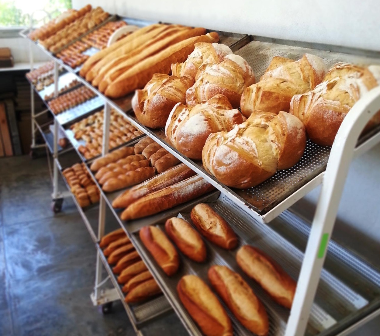 La Linda Bakery: El Corazón de Masa Madre que Revolucionó Manantiales - imagen 3