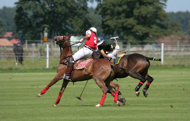 El "Boom" del Polo en Punta del Este: Más que un Deporte, el Nuevo Epicentro del Lujo - imagen 3