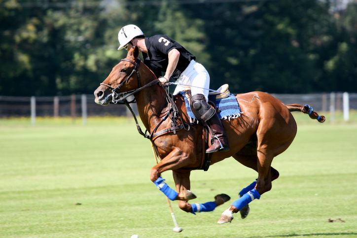 El "Boom" del Polo en Punta del Este: Más que un Deporte, el Nuevo Epicentro del Lujo - imagen 1