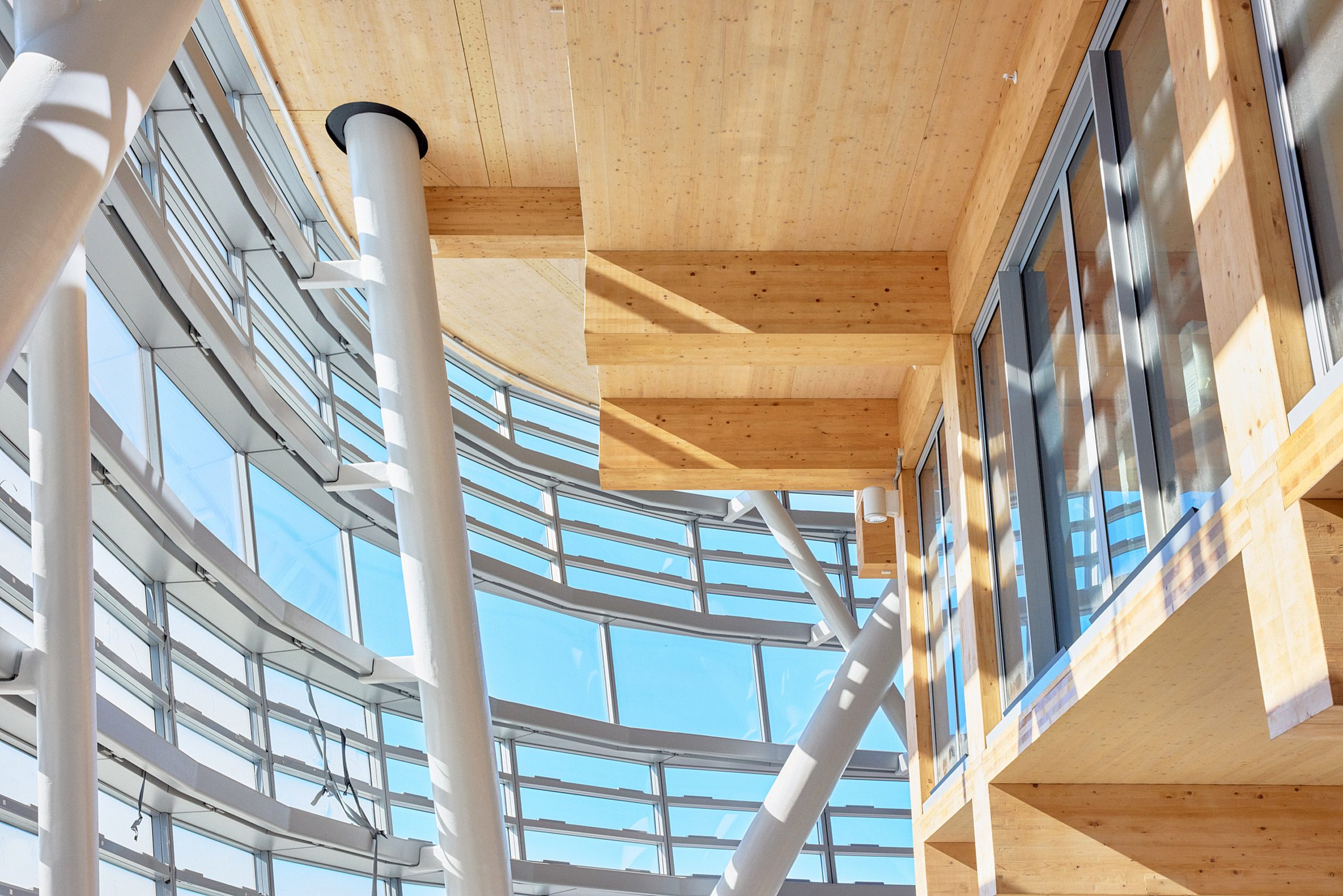 La torre de madera más alta del mundo alcanza su punto máximo en Sídney. - imagen 1