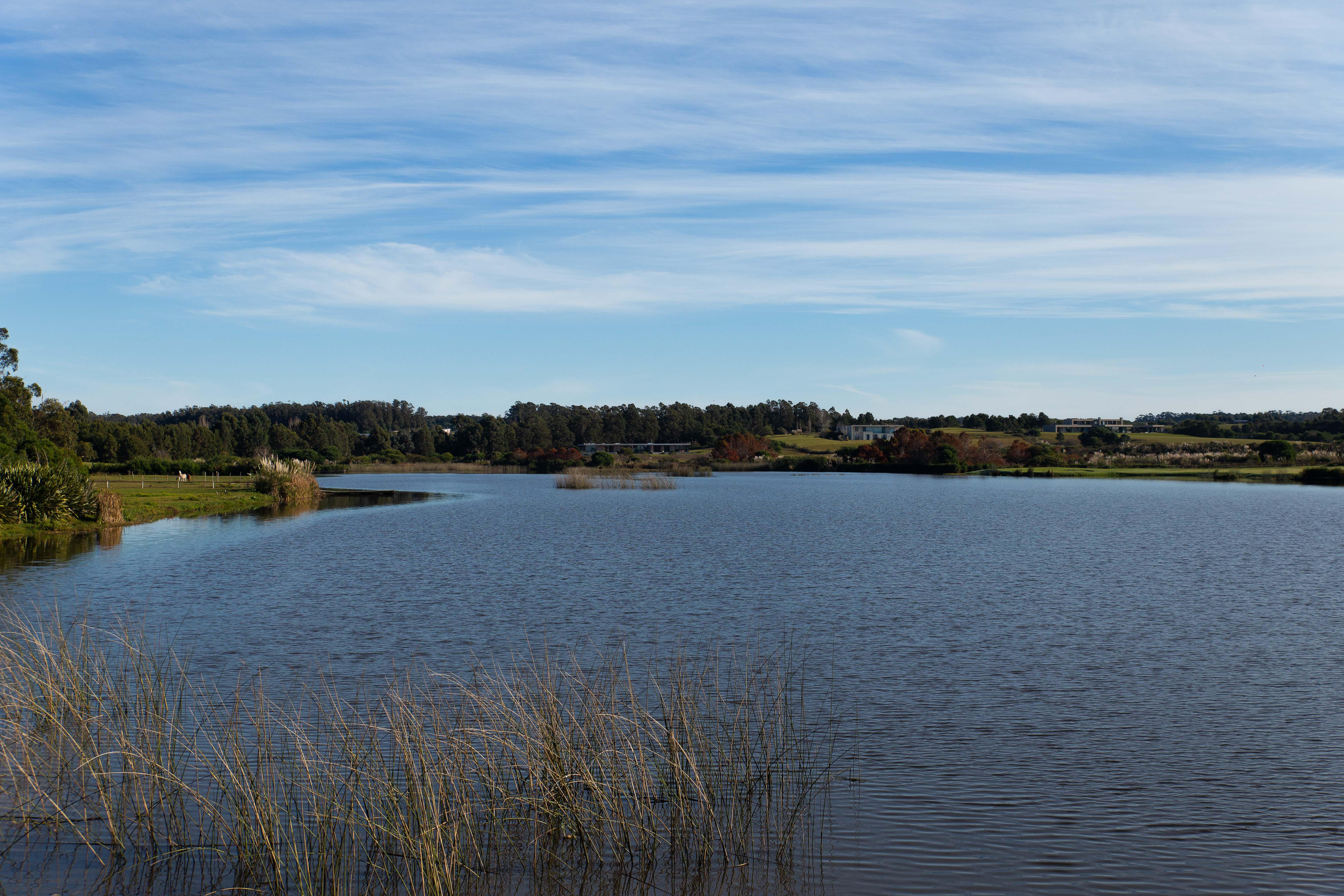 VILLA LAGOS imagen 1