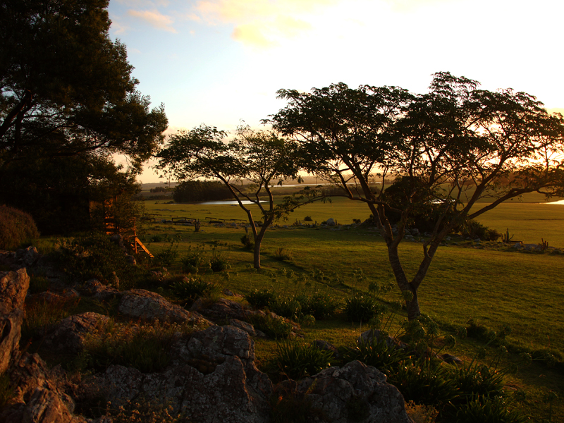 FASANO imagen 6