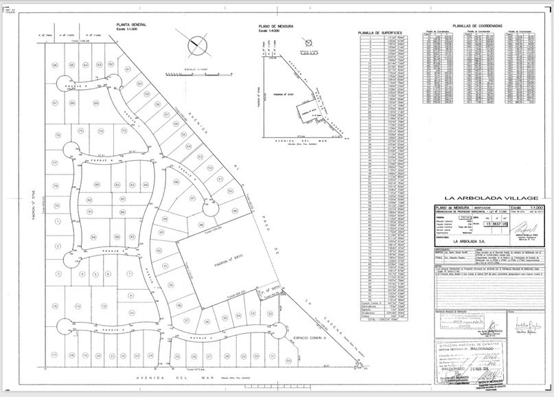 Plano 1