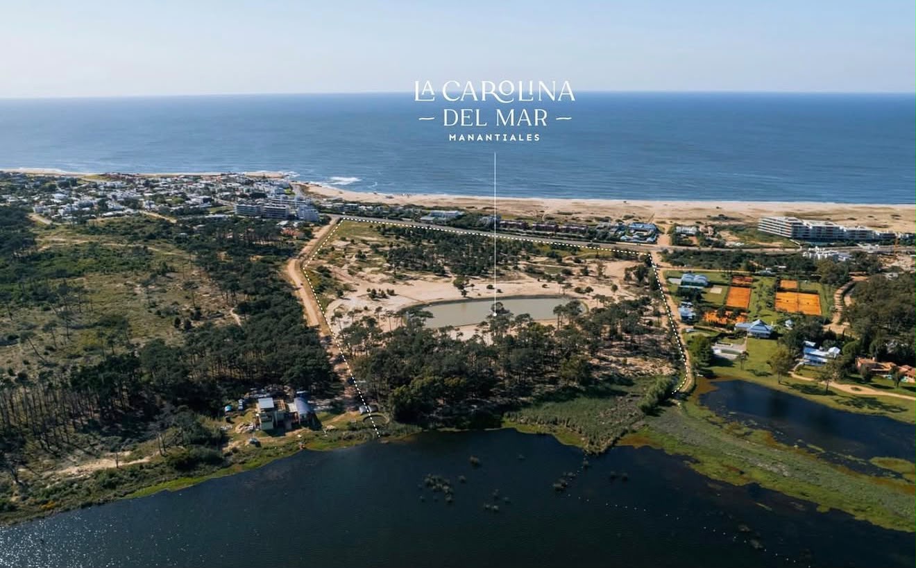 LA CAROLINA DE MAR imagen 1