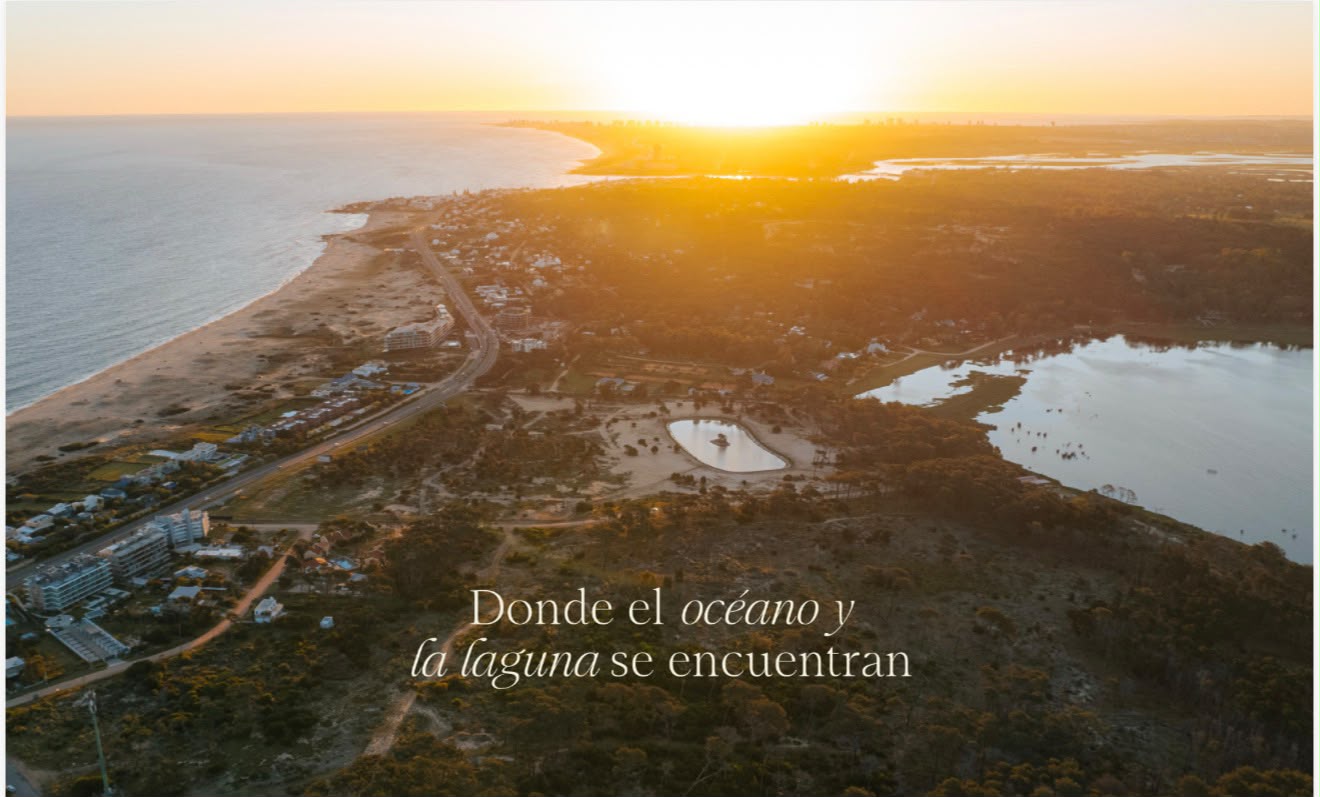 LA CAROLINA DE MAR imagen 4